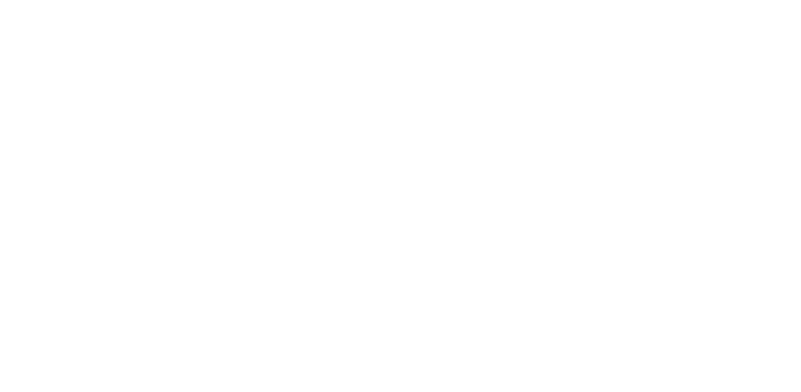领巢